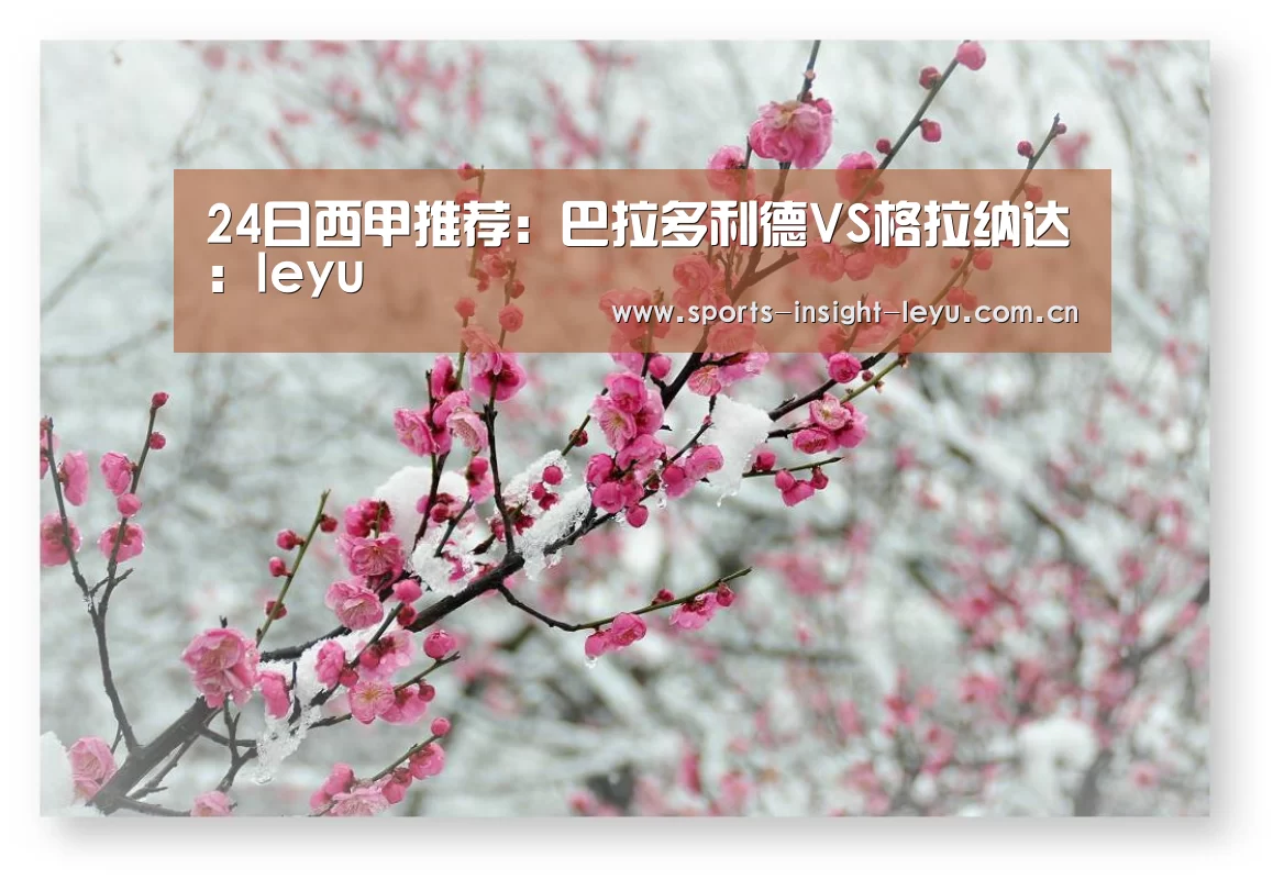 24日西甲推荐:巴拉多利德VS格拉纳达:leyu(图1) 乐鱼官网